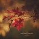 Autumn Leaves Single