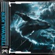 TIDEWALKER Single
