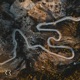 Lost on the Hill Single