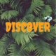 Discover Single