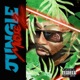Jungle Music 2