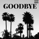 Goodbye Single