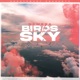Birds In The Sky Single