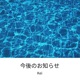今後のお知らせ Single
