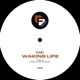 Waking Life Single
