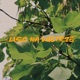 Liść na wietrze Single