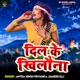 Dil Ke Khilona Single
