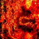 Burn Single