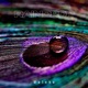 Raindrop Single
