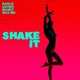 Shake It feat Kaibit Single