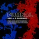 Pumnal feat P Garriano Single
