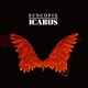 Icarus