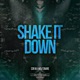 Shake It Down Single