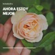 Ahora Estoy Mejor Single
