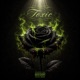 Toxic Single