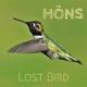 Lost Bird Single