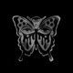 Black Butterflies Single