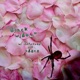 Black Widow feat odece 3xtrovert Single