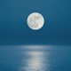 Moonberry EP