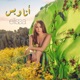 Ana W Bass Single