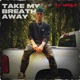 Take My Breath Away Single