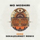 Here SEKAijOURNEY Remix Single