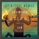 Astral AVM Remix Single