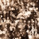 Resonant Fields EP