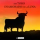 Ese Toro Enamorado De La Luna Folklore Español