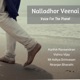 Nalladhor Veenai Voice For The Planet feat Vishnu Vijay Mt Aditya Srinivasan Single