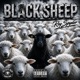 Black Sheep Single