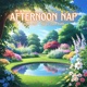 Afternoon Nap feat Liar Liar Single
