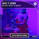 Shut It Down Single
