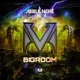 Bigroom Single