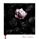 True Colors Single