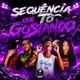 SEQUÊNCIA QUE TÔ GOSTANDO feat BK2P Single