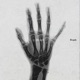 Paradigma EP
