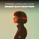 Inner Saturation Single