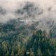The Higgs Boson EP