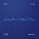 Somethin About You feat Ron E Partyat4 Single