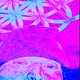 Like Screw House Single