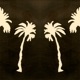 Praia Single