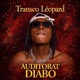 Auditorat Diabo Single