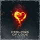 Feelings of Love Single