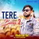 Tere Bina 2 Single