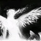Untitled 0 feat Nate2Timez Single