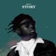 Story Single