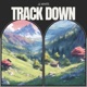 Track Down Single