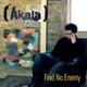 Find No Enemy Single