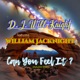 Can You Feel It feat William Jacknight Radio Edit Single